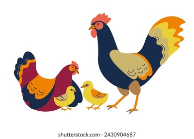 Chicken family. Chicks, rooster, hen. Cute lovely family of domestic fowl or poultry birds.