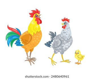 Chicken family. Cockerel, hen and a funny yellow chicken. In cartoon style. Isolated on white background. Vector flat illustration.