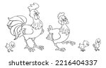 Chicken family. Cockerel, hen and three funny chickens. In cartoon style.  Black and white picture for coloring book. Isolated on white background. Vector illustration.