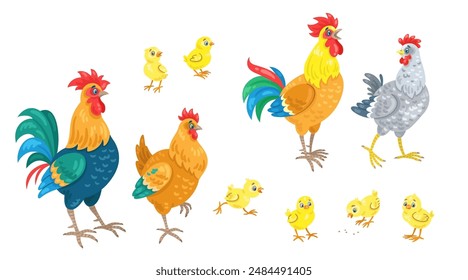 Chicken family. Cockerels, hens and six funny yellow chickens in different poses. In cartoon style. Isolated on white background. Vector flat illustration.