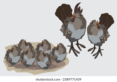 Chicken family with many small chicks