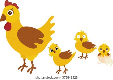 Chicken family, mother takes her three yellow chickens