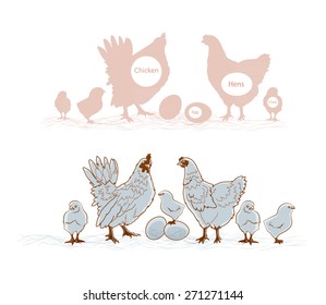 chicken family vector