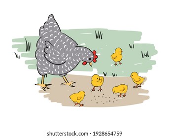 Chicken family vector illustration. Hen with baby chicks. Easter card design.