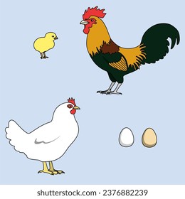 Chicken family vector, chicken, rooster, chick and eggs