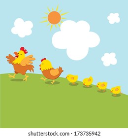 Chicken family walk. Vector illustration of cock, hen and little chicks walk together under the sun.