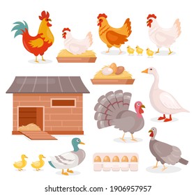 Chicken in farm barn henhouse vector illustration set. Cartoon hen sitting on eggs, hen and rooster with baby chickens, turkey, goose and duck with ducklings, domestic poultry birds isolated on white