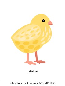 Chicken farm bird vector illustration