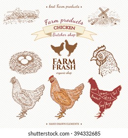 Chicken farm collection hand drawn elements  