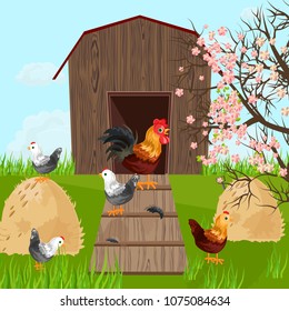 Chicken farm coop Vector. Spring season green background farmings