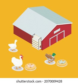 Chicken Farm With Egg Illustration