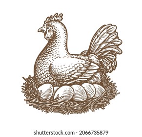 Chicken farm with eggs. Hen and eggs vector illustration