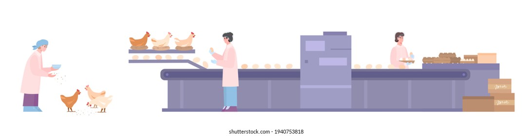 Chicken Farm Or Factory For Production Fresh Eggs A Vector Illustration.