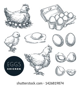 Chicken farm fresh eggs. Vector set of sketch design elements. Hand drawn hen, poultry and little chicken, isolated on white background.