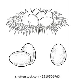 Huevos frescos de granja de pollos. Conjunto de Vector de boceto de huevos, aislado sobre fondo blanco. Ilustración del grabado de Antiguas para la tienda del cartel, de la etiqueta y del menú

