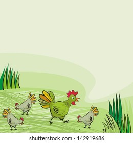 chicken farm green hens free run on sunny summer day animal wildlife illustration on green background