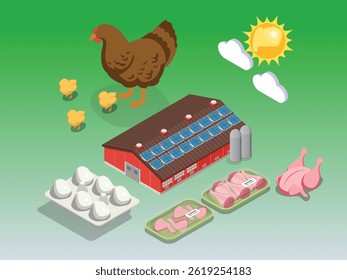 a chicken farm with a hen and chicks, a solar-paneled barn, silos, packaged chicken meat, and a carton of eggs 3d isometric vector