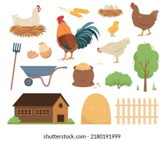 Chicken farm. Hens, rooster and baby chicks, farm and incubator elements isolated on white background. Domestic bird icons vector illustration.