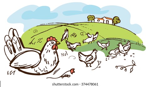 chicken farm illustration
