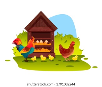 Chicken farm illustration with cock, hen, wooden perch, eggs, green bush and grass. Poultry organic farming background with chicken, rooster in cartoon flat style. Kids nature vector illustration