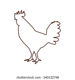 chicken farm isolated icon vector illustration design