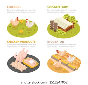 Chicken farm isometric 4x1 set of circle compositions with poultry products farm scenes with editable text vector illustration