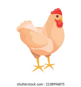 Chicken farm isometric composition with isolated image of hen with plucked fowl on blank background vector illustration