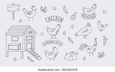 chicken farm organic eggs and meat icon set