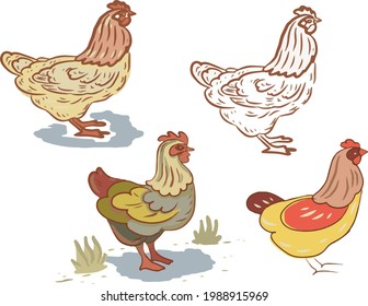 chicken farm pets bird vector illustration graphics in different styles. print textile vintage retro engraving colored food eggs