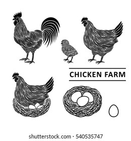 Chicken farm premium quality. Chickens set vector illustration. Hen, chick, rooster, eggs. Black sillhouette hen and rooster. Male and female chickens set.