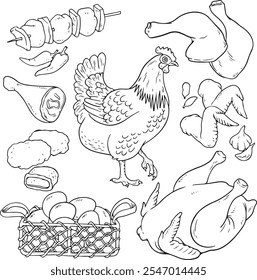 Conjunto de bocetos de productos de granja de pollos. Nido dibujado a mano, gallina, gallo, cesta con huevos. Ilustración vectorial grabada para aves de corral, carne, producción de alimentos, Pascua - juego de Vector