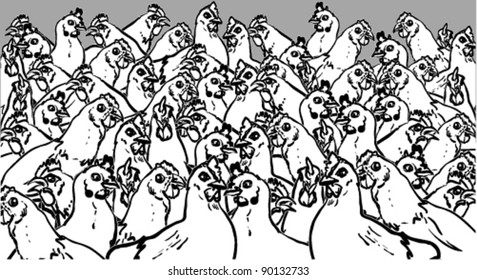 Chicken farm scene