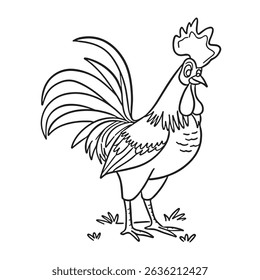 chicken with feathers and a big comb detailed vector illustration. Drawing