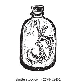 Chicken feet in jar, ingredient for making potion, witch accessory.