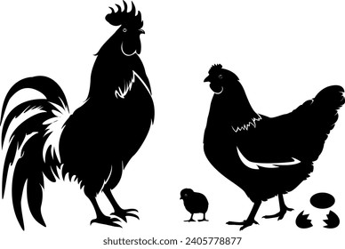 chicken, female chicken, chicks, Hen silhouette isolated on white background.chicken silhouette set.chicken family