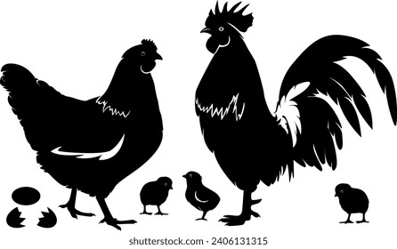 chicken, female chicken, chicks, Hen silhouette isolated on white background.chicken silhouette set.