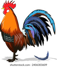 chicken, female chicken, chicks, Hen silhouette isolated on white background.
