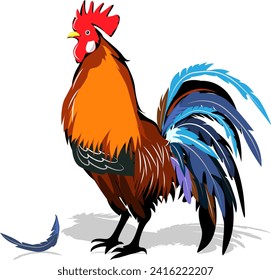 chicken, female chicken, chicks, Hen silhouette isolated on white background.chicken silhouette set.chicken family