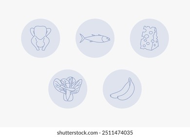 Chicken, fish, mustard greens, banana, cheese illustration 