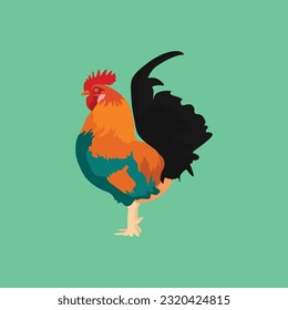 Chicken flat design illustrator art