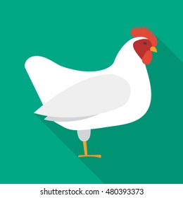 chicken flat icon. You can be used chicken icon for several purposes like: websites, UI, UX, print templates, promotional materials, info-graphics, web and mobile phone apps.