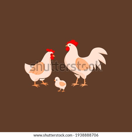 Chicken Flat Illustration Poultry and Farm, Animal Vector Set Graphic Design Element