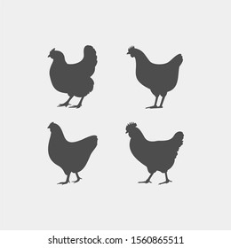 Chicken Flat Vector Icon. Chicken Vector Silhouette