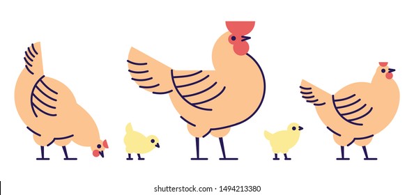 Chicken flat vector illustration. Isolated orange rooster, hens and yellow cute chicks. Hennery, poultry farm, bird breeding cartoon design elements with outline. Chicken meat production