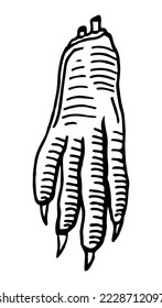 Chicken foot. Hand-drawn style. Vector illustration. Isolated on white.