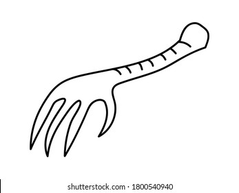 CHICKEN FOOT ON A WHITE BACKGROUND IN VECTOR