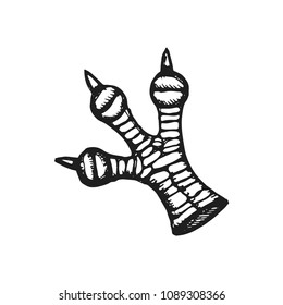 chicken foot vector sketch isolated