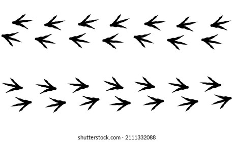 Chicken footprint path in forward and back direction