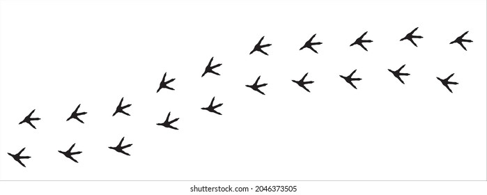 Chicken footprint trail. Rooster foot print trace. background vector illustration.