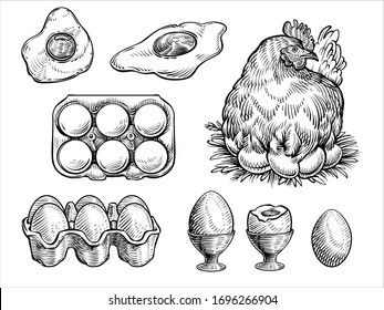 Chicken fresh eggs, vector illustration. Farm sketch set with the hen on a nest, egg box, fried and boiled eggs.  Vintage engraving style.